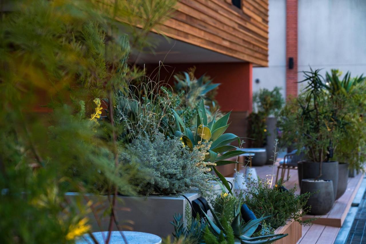 The Onefive Terrace Fukuoka Hotel Fukuoka  Ngoại thất bức ảnh